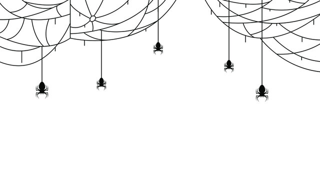 Spiders on Web with white Background. Halloween Background Design Element. Spooky, Scary Horror Decoration Vector