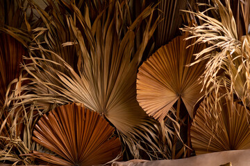 palm branches in the decor for house