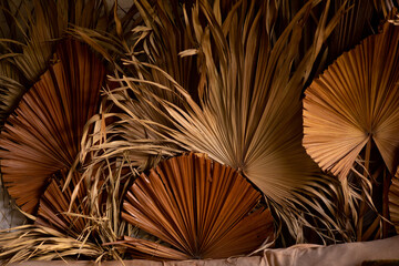 palm branches in the decor for house