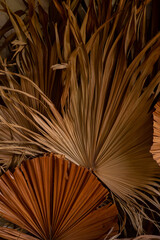 palm branches in the decor for house