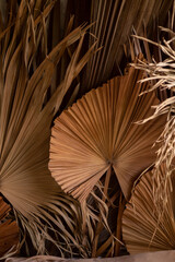 palm branches in the decor for house