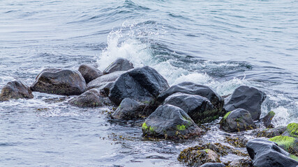 Naklejka premium Meer