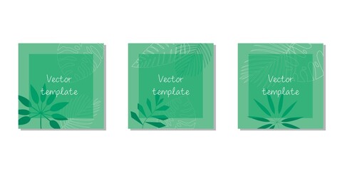 Vector design square templates in simple modern style with copy space for text, Tropical leaves .Natural concept template. Vector illustration. Summer green template.