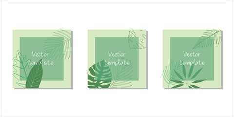 Vector design square templates in simple modern style with copy space for text, Tropical leave .Natural concept template. Vector illustration. Summer green template.