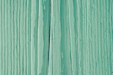 Fototapeta na wymiar Green dry wooden surface, cracked with age. Natural textured summer background, wallpaper or backdrop. Faded paint on old wood. Hard sunlight with shadows. Close-up