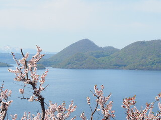 北海道の絶景 梅の花と洞爺湖