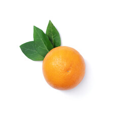 Orange fruit on white background