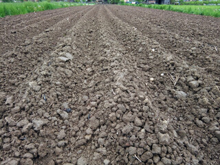 plowed field with soil in Romania - agriculture concept