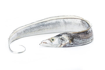 Fresh seafood:hairtail on white background.