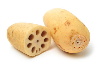 Lotus root on the white background