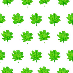 seamless watercolor pattern of stylized spring herbs, leaves and twigs.