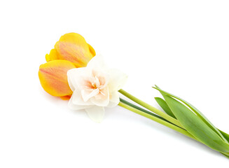 Pink daffodil and tulips.