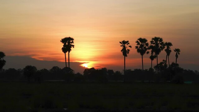 Take a time lab photo Evening rice field When the sun will set the sky. Pathum Thani Province, Thailand 2021-05-14