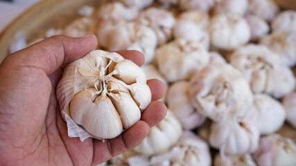 garlic on the market