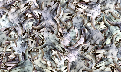 Random spread deer skull abstract background. abstract graphics