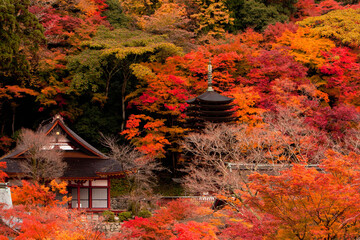 奈良　談山神社の紅葉　遠景