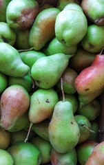 Pears in a pile