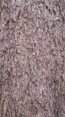 wood texture
