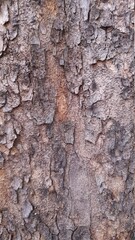 bark of a tree