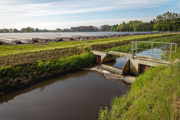 Small metal weir in a Dutch ditch regulates the water level around a field with asparagus beds covered with plastic agricultural film.