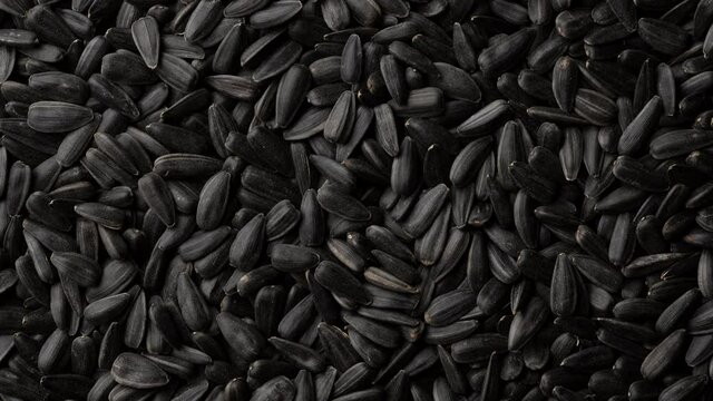 black sunflower seeds in shell top view. Sliding shot. 4K UHD video