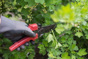 hand picking a garden hose