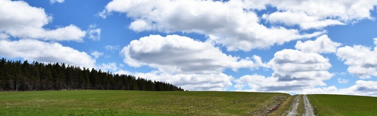 The first days of spring under a cloudy sky