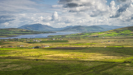 Fototapeta premium View from Kerry Cliffs on grazing cattle on fields and pastures of Iveragh peninsula, mountain range in background, Portmagee, Ring of Kerry, Ireland