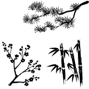 11 3 Best 松竹梅 Images Stock Photos Vectors Adobe Stock 11 3 Best 松竹梅 Images Stock Photos Vectors Adobe Stock