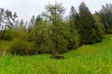 Die Parkbank der Stille