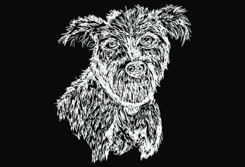 vector dog portrait illustration, wallpaper and background