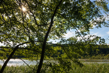 Angler im Boot am See
