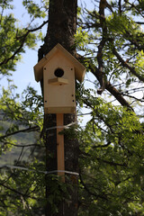 wooden bird house