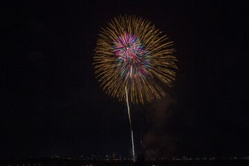 fireworks in the sky