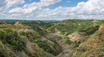 Naklejka premium Along the Caprock Coulee Nature Trail in the Theodore Roosevelt National Park - North Unit on the Little Missouri River - North Dakota Badlands
