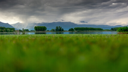 Paesaggio naturale - Prato di erba verde bagnata dalle nuvole cariche di pioggia intorno al lago con gli alberi sullo sfondo.