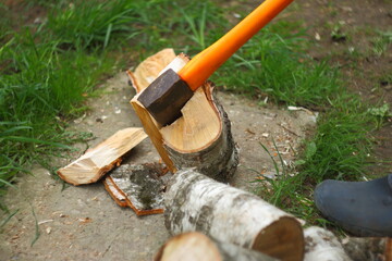 axe in stump