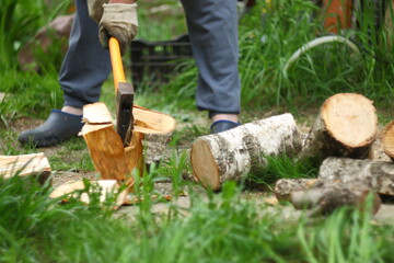 axe in log