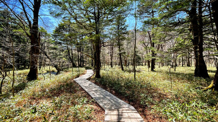 path in the mountains 