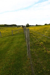 Fototapeta na wymiar Rural Scene, Fences