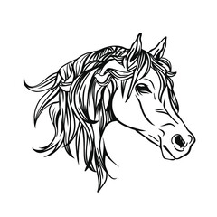 Horse head, vector illustration. Animal illustration.