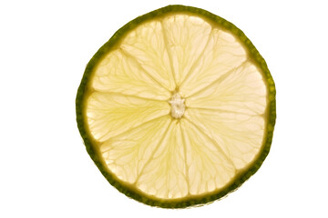 Slice of lemon on white close-up