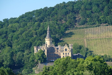 Fototapeta na wymiar FU 2020-06-01 Bingen 918 Die Burg steht am Berg