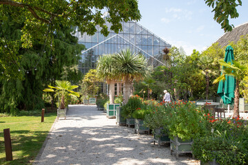 Greenhouse of the Hortus botanicus in Leiden. It is the oldest botanical garden in the Netherlands and was founded in 1590.