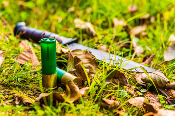 Combat knife and two 12 gauge bullets on the grass with fallen leaves. Close up view of a grass level