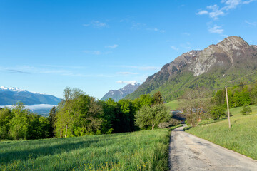 Paysage du Parc Naturel Régional des Bauges en Savoie en France dans les montagnes des Alpes