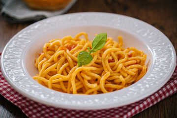 Spaghetti with tomato sauce and basil on a plate