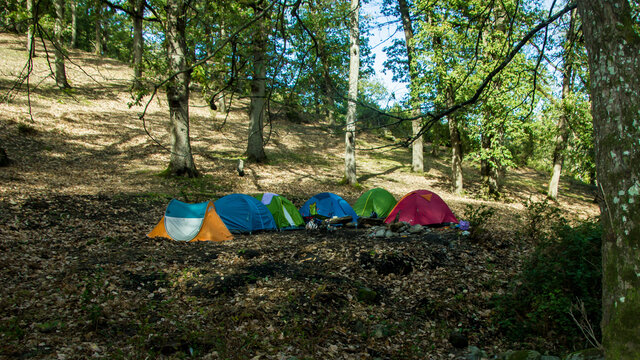 A beautiful landscape of some pitched tents forming a camp between trees in the forest of Seraidi mountains in Annaba