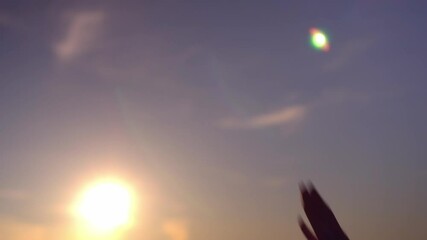 hands of young men of guy and girl giving high fives at sunset. Two happy laughing best friends, man and woman, having fun and celebrating good luck and victory. Success. vacation adventure travel