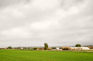 Obraz premium Gray cloudy sky over green arable land in spring in Spain.